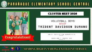 Cluster Meet - Volleyball 01
