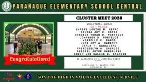 Cluster Meet - Volleyball 05